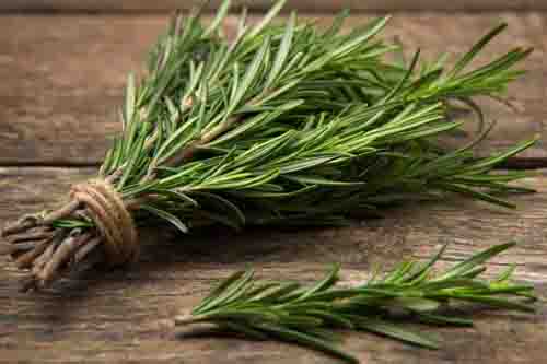 thym plante efficace pour une recette anti chute