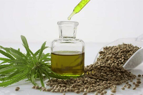 chanvre plante contre la chute de cheveux