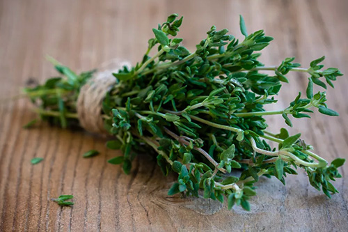 thym une plante contre la chute de cheveux